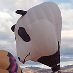 Montague Balloon Photo (17)