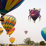 Windsor Balloon Photo (8)