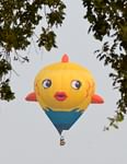 Windsor Balloon Photo (24)