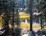 Yosemite country photo link